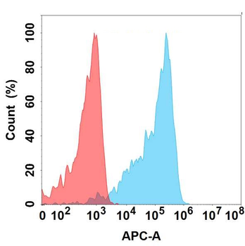 TNFRSF1B Antibody