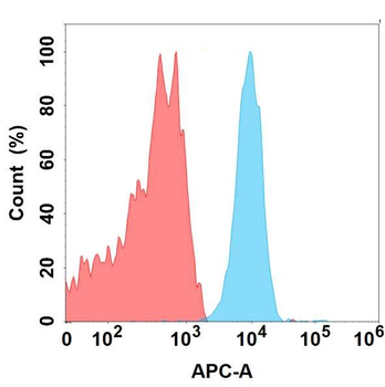 LIV-1 Antibody