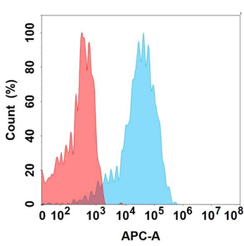 Anti-TENM4 antibody(DMC683); IgG1 Chimeric mAb