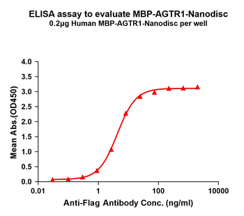 Human MBP-AGTR1 full length protein-synthetic nanodisc
