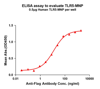 Human TLR5 full length protein-MNP