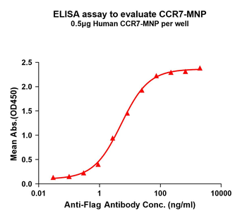 Human CCR7 full length protein-MNP