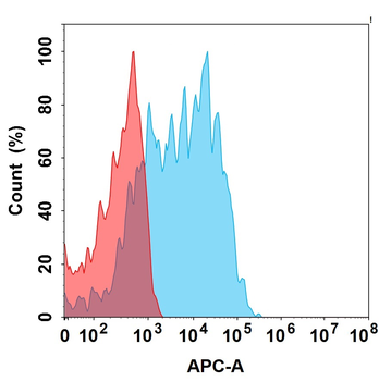 Anti-CDH6(raludotatug biosimilar) mAb