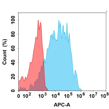 IL31RA Biosimilar Antibody