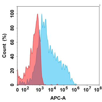 Anti-CD79B (polatuzumab biosimilar) antibody, Rabbit IgG Chimeric mAb