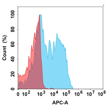 Anti-CD39(perenostobart biosimilar) mAb