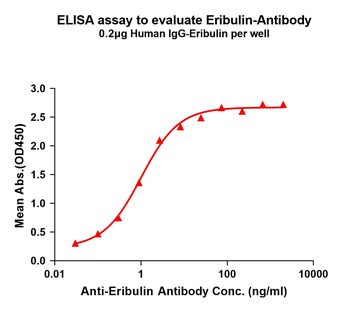 Eribulin Antibody