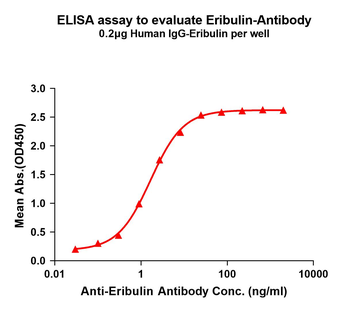 Eribulin Antibody