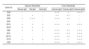 Human IgG Antibody