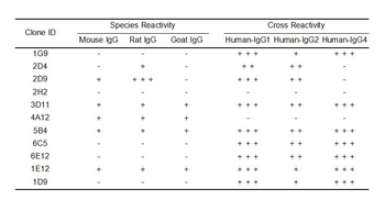 Human IgG Antibody