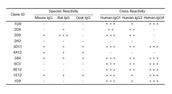 Human IgG Antibody