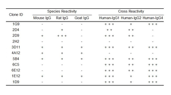 Human IgG Antibody