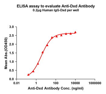 Dxd Antibody