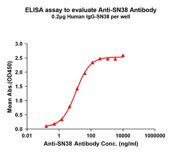 SN38 Antibody
