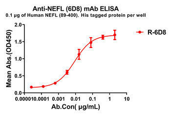 NEFL Antibody