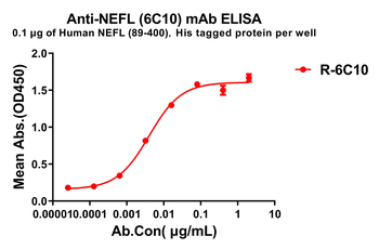 NEFL Antibody