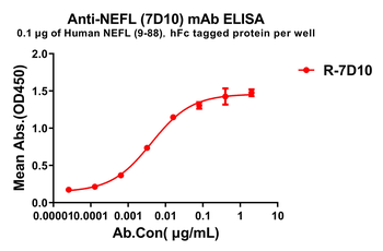NEFL Antibody