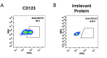 CD123 Biosimilar Antibody