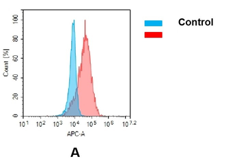 CD123 Biosimilar Antibody