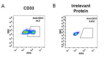 Anti-CD33 (gemtuzumab biosimilar) mAb