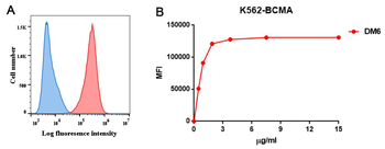 Anti-BCMA antibody(DM6); Rabbit mAb