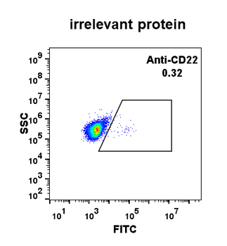 Anti-CD22 antibody(DM13); Rabbit mAb