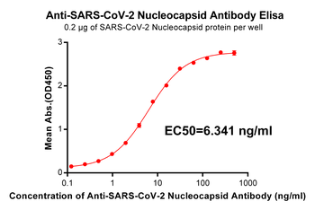 Anti-SARS-CoV-2 Nucleocapsid antibody(DM22); Rabbit mAb