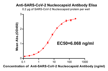 Anti-SARS-CoV-2 Nucleocapsid antibody(DM23); Rabbit mAb