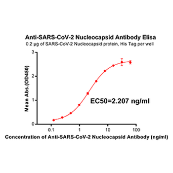 Anti-SARS-CoV-2 Nucleocapsid antibody(DM37); Rabbit mAb