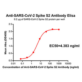 Anti-SARS-CoV-2 Spike antibody(DM41); Rabbit mAb