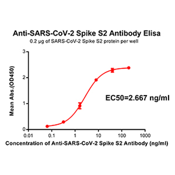 Anti-SARS-CoV-2 Spike antibody(DM42); Rabbit mAb