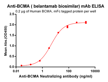 Anti-BCMA (belantamab biosimilar) mAb