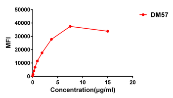 CD27 Antibody