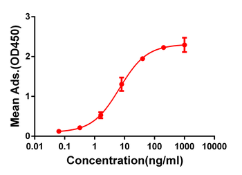 Anti-CD28 antibody(DM63); Rabbit mAb