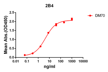Anti-2B4 antibody(DM70); Rabbit mAb