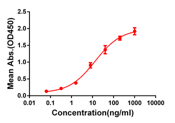 Anti-CD33 antibody(DM77); Rabbit mAb