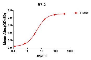 Anti-B7-2 antibody(DM84); Rabbit mAb