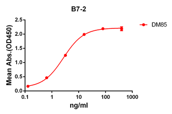 Anti-B7-2 antibody(DM85); Rabbit mAb