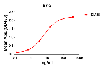 Anti-B7-2 antibody(DM86); Rabbit mAb