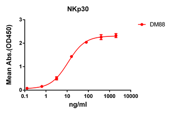 Anti-NKp30 antibody(DM88); Rabbit mAb