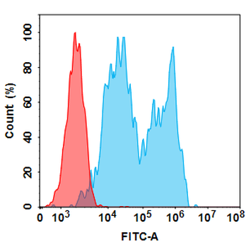 Anti-CD20 (rituximab biosimilar) mAb