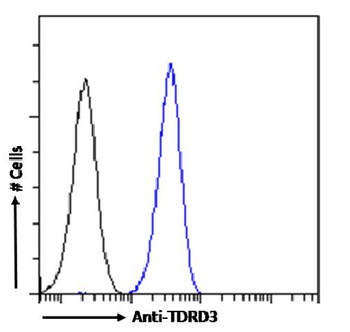 Anti-TDRD3 [RAB-C419]