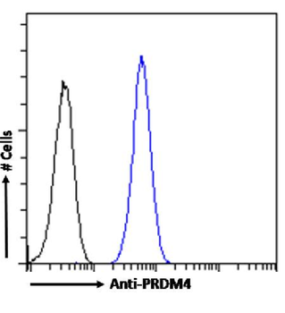 Anti-PRDM9 [RAB-C370]
