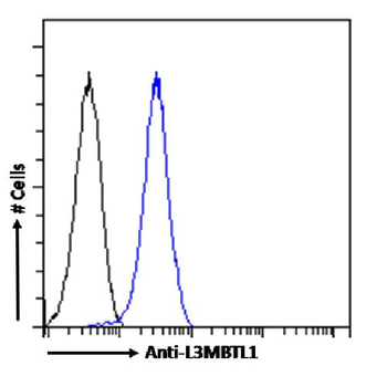 Anti-L3MBTL1 [RAB-C213]