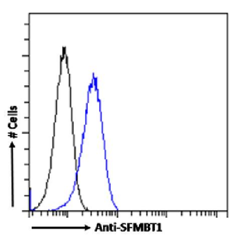 Anti-SFMBT1 [RAB-C396]