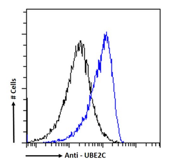 Anti-UBE2C [SAIC-41A-1]