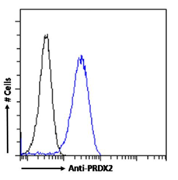 Anti-PRDX2 [SAIC-34D-11]