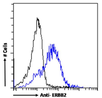 Anti-ERBB2 [SAIC-02A-7]