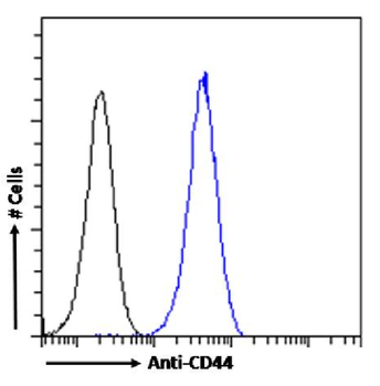 Anti-CD44 (Indian blood group) [SAIC-01B-4D8]