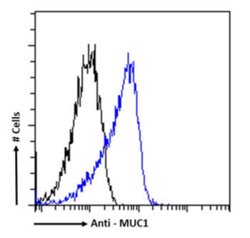 Anti-MUC1 [PAM4]